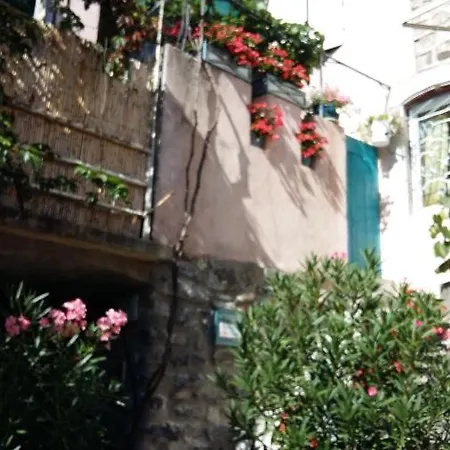 Les Hibiscus *